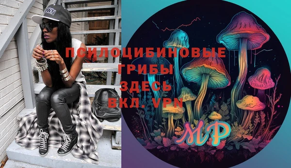 крисы Новокубанск