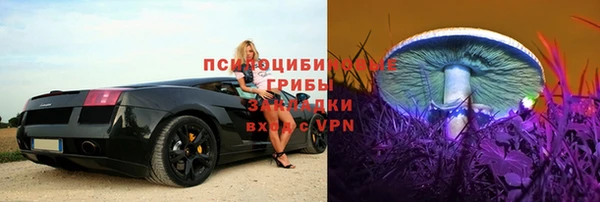 дживик Бугульма