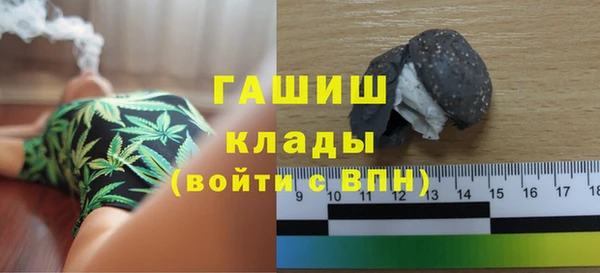 ECSTASY Бородино
