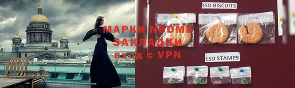 ECSTASY Бородино
