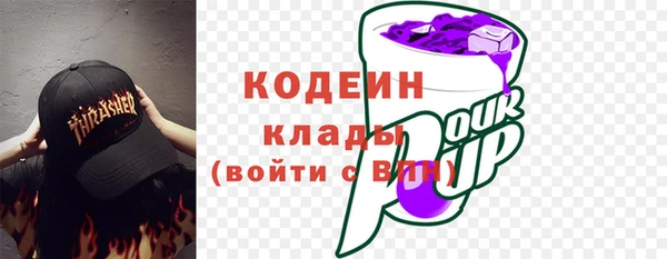 ECSTASY Бородино