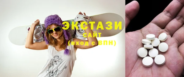 ECSTASY Бородино