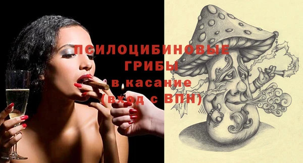 дживик Бугульма