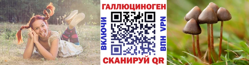 Купить где  Кушва  Галлюциногенные грибы Psilocybine cubensis 