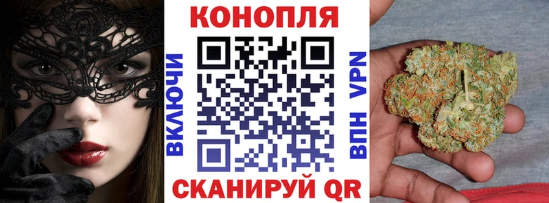 Купить закладки  Кушва  Бошки марихуана сатива 
